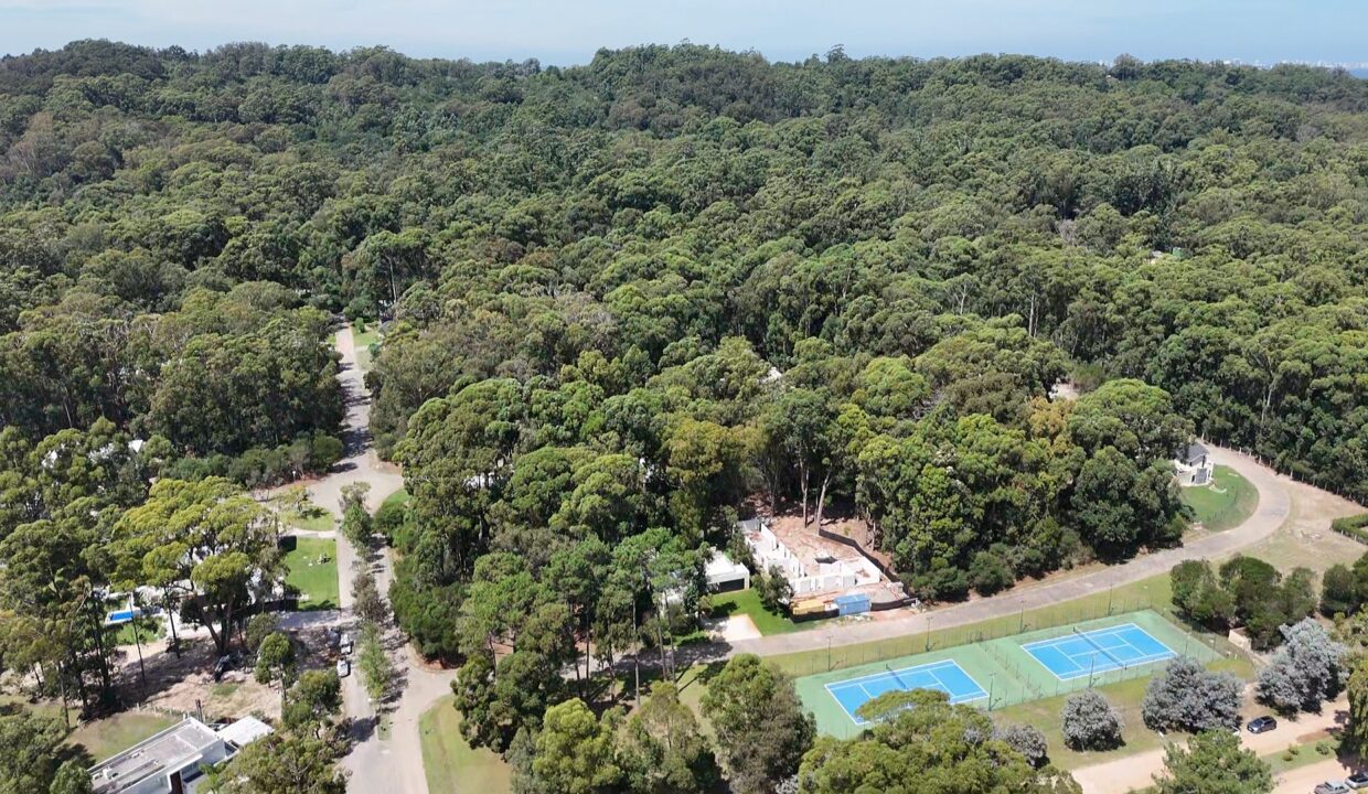 dji_fly_20250217_141453_0_1739812493643_photo_low_quality
