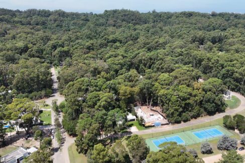 dji_fly_20250217_141453_0_1739812493643_photo_low_quality