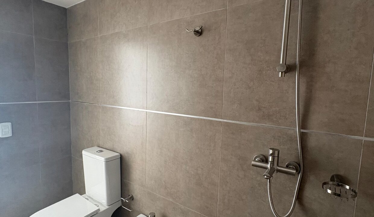 67eebe1a-6cd2-491c-9500-8ff817684052